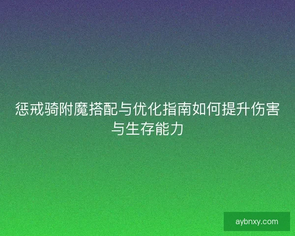 惩戒骑附魔搭配与优化指南如何提升伤害与生存能力